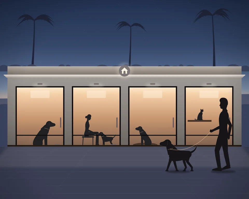 Illustration: a small pet boarding house in the evening, a row of lit rooms with dogs inside, a carer sitting with a small dog, a cat on a shelf, a member of staff walking a guest dog on a lead in front