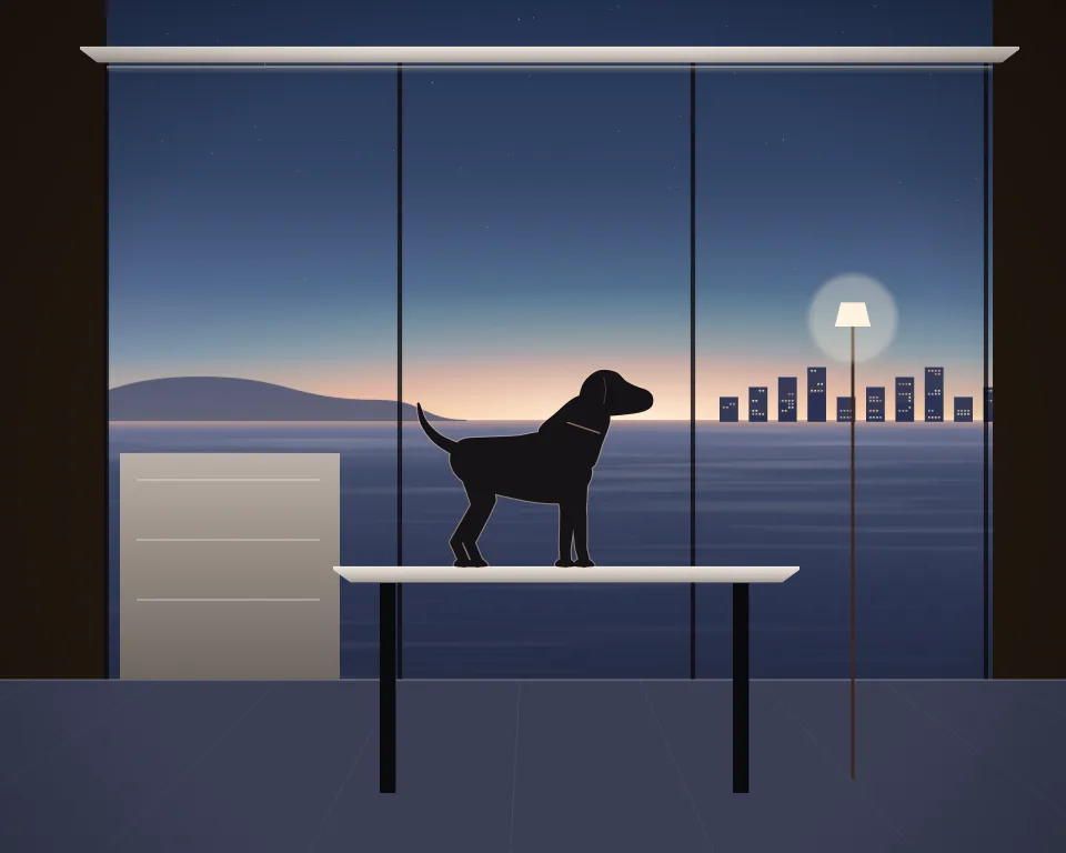 Illustration: a generic veterinary room at blue hour, with an examination table and a small dog; no real clinic is depicted
