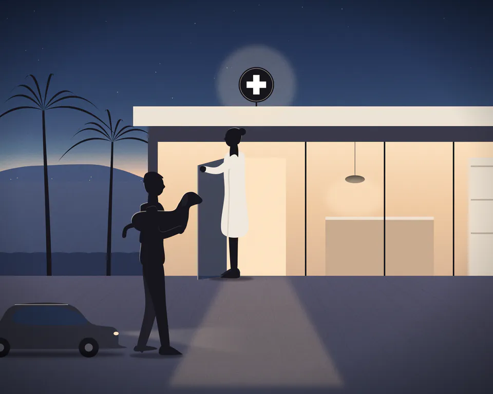 Illustration: a man carrying his small dog from a car towards the open, lit door of a veterinary clinic in the evening, a vet in a white coat holding the door for him, a white cross on the clinic sign