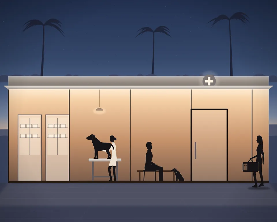 Illustration: a small veterinary clinic in the evening, a vet in a white coat with her hand on a dog standing on the examination table, a man waiting on a bench with his small dog, a woman arriving with her cat in a carrier