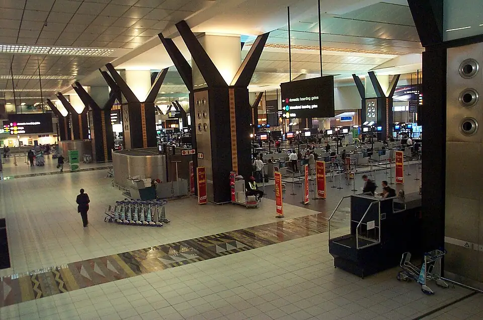 A check-in hall at Johannesburg O. R. Tambo airport with tree-shaped columns