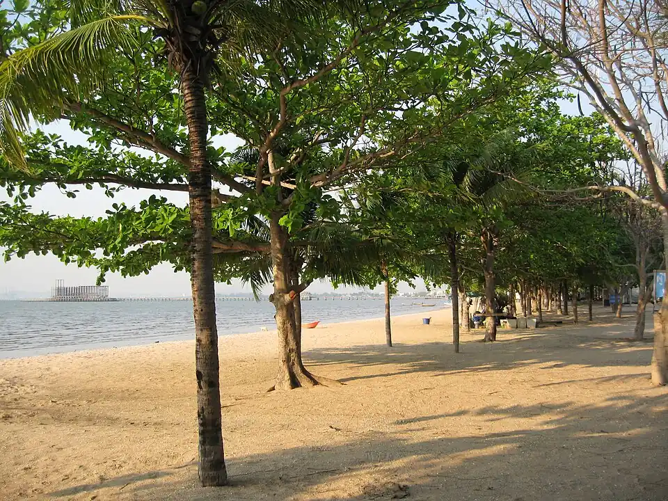 Shade trees on the sand at Naklua Beach, the Pattaya skyline across the water