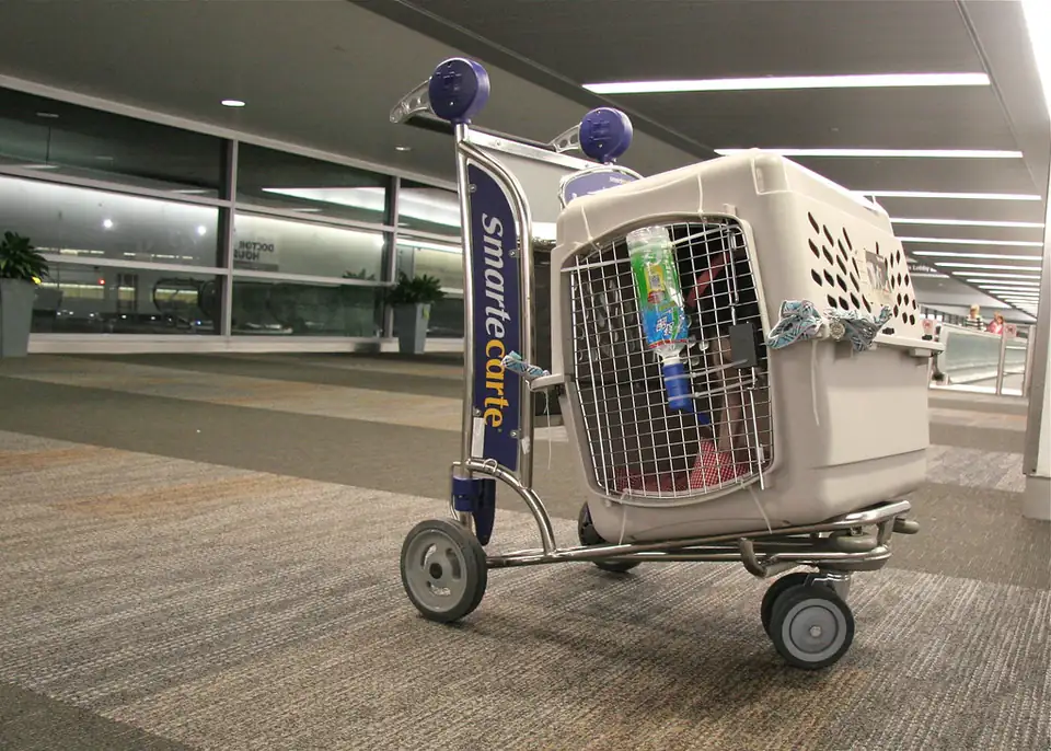 A plastic pet travel crate with a water bottle clipped to its door, standing on an airport luggage trolley