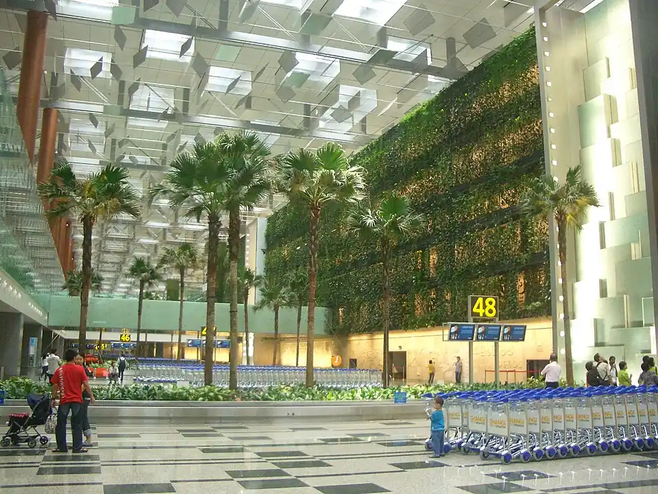 Palm trees and a green wall in the departure hall of Changi Terminal 3