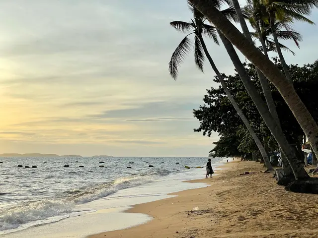Palms beside Jomtien Beach and the shoreline at dusk
